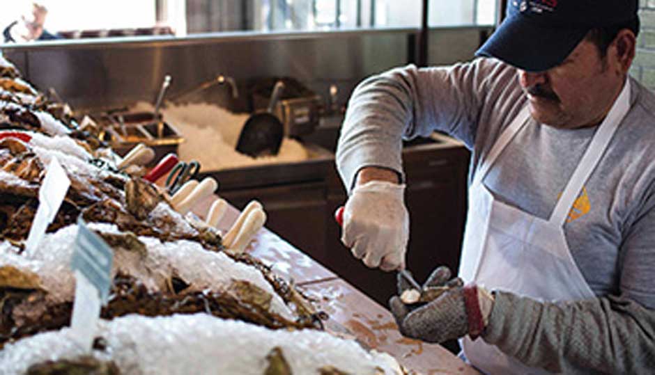 Chef shucking fresh Stellar Bay Oysters
